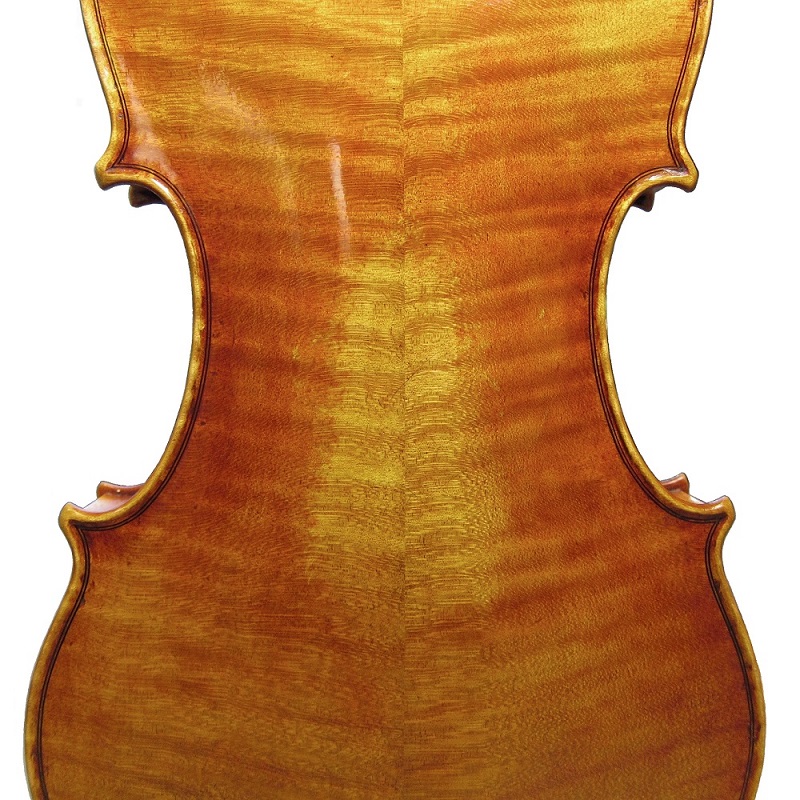 violin back photo