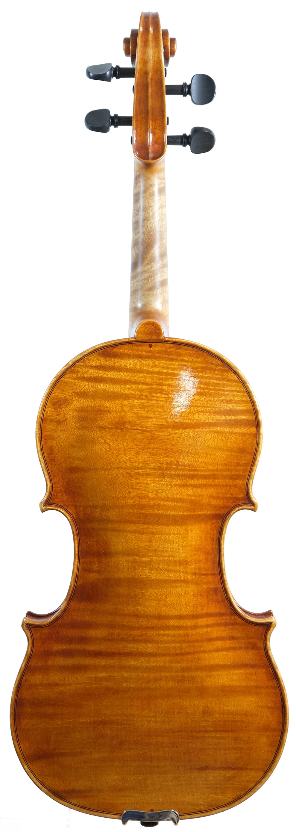 vn023 backside